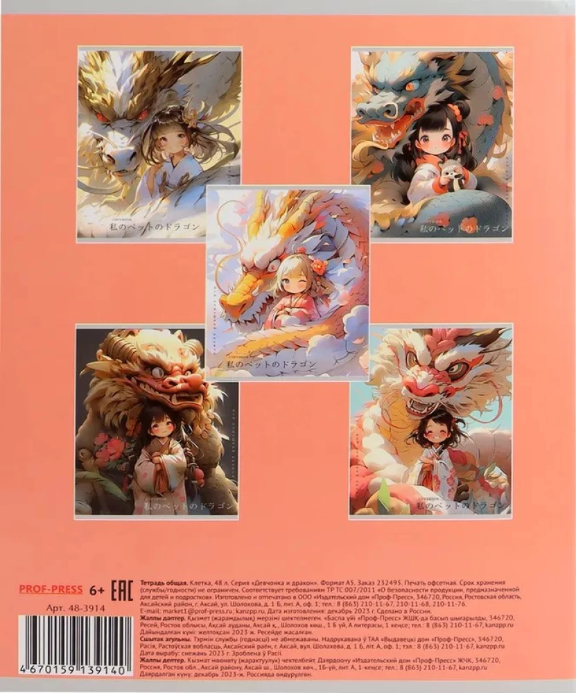 Notebook - Girl and Dragon, A5, 48 sheets, grid, assorted