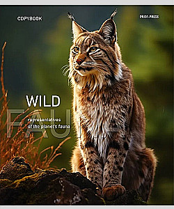 Heft - Tiere in ihrer Umgebung, A5, 48 Blatt, liniiert, assortiert