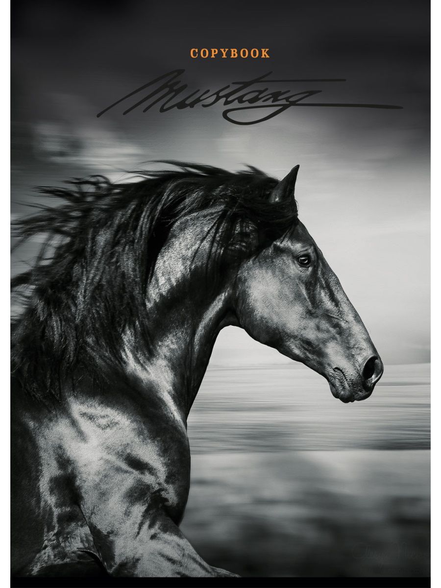 Тетрадь А4 - Профиль коня (клетка)