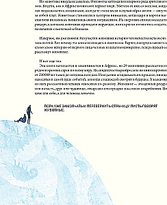 A Brief History of Humanity Through the Eyes of Animals