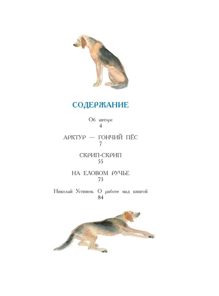 Arctur - the hunting dog