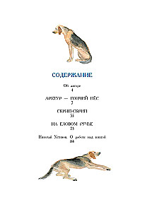 Arctur - the hunting dog