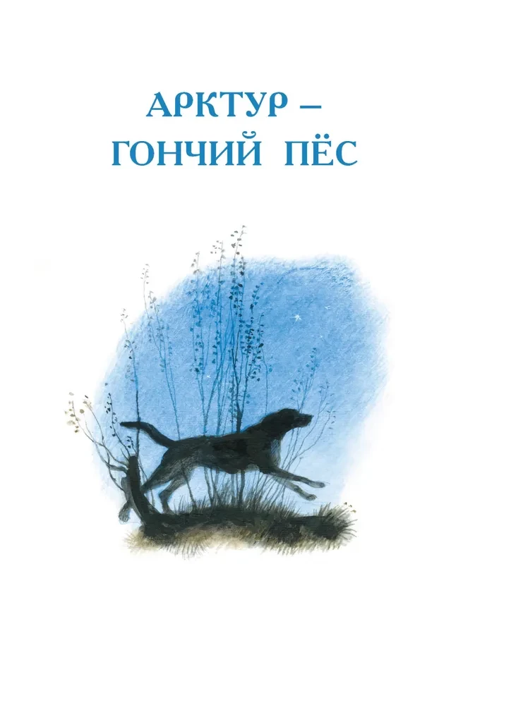 Arctur - the hunting dog