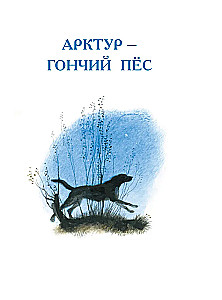 Arctur - the hunting dog