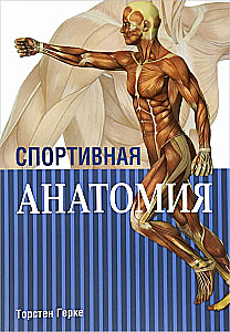 Sports Anatomy