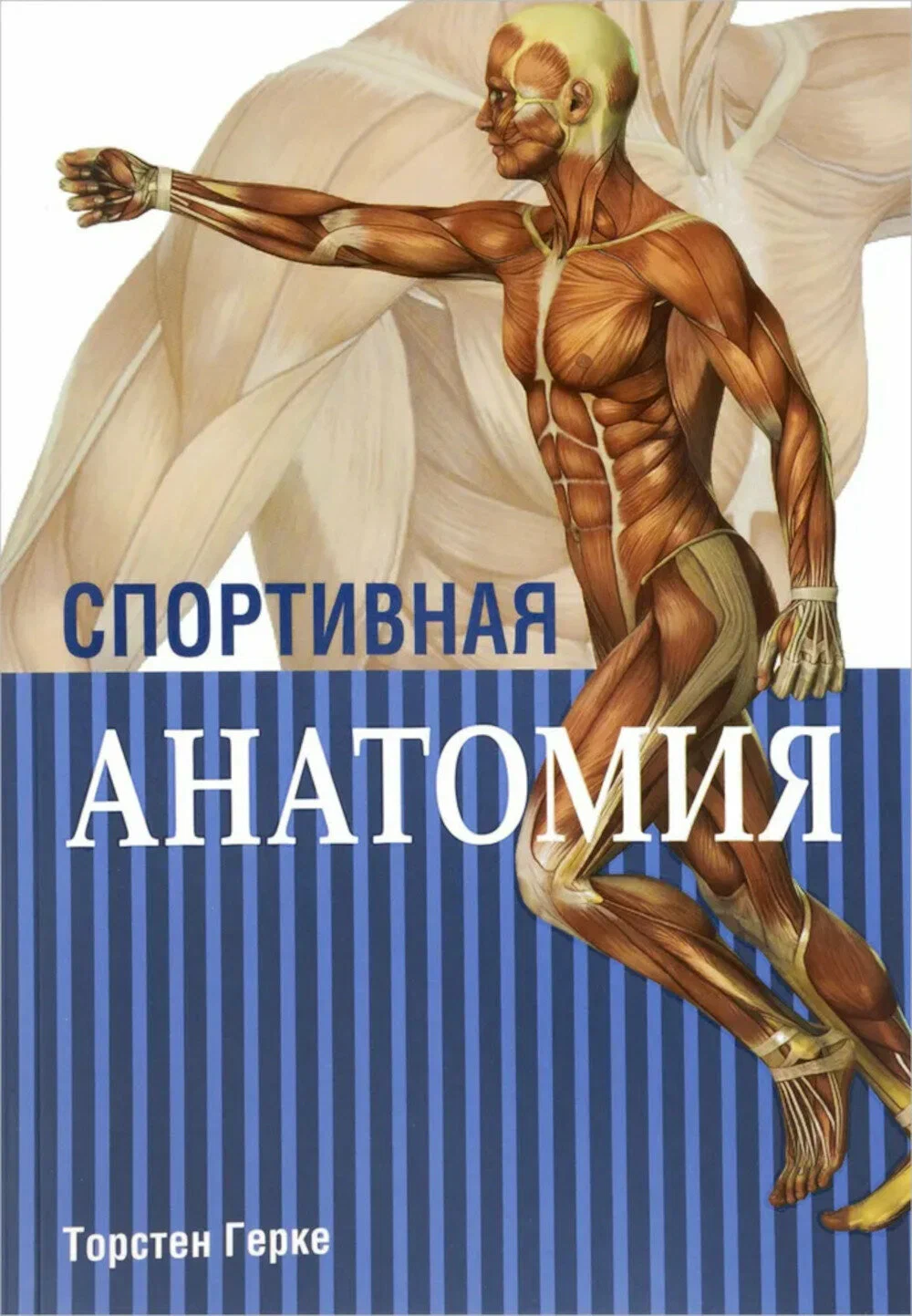 Anatomia sportowa