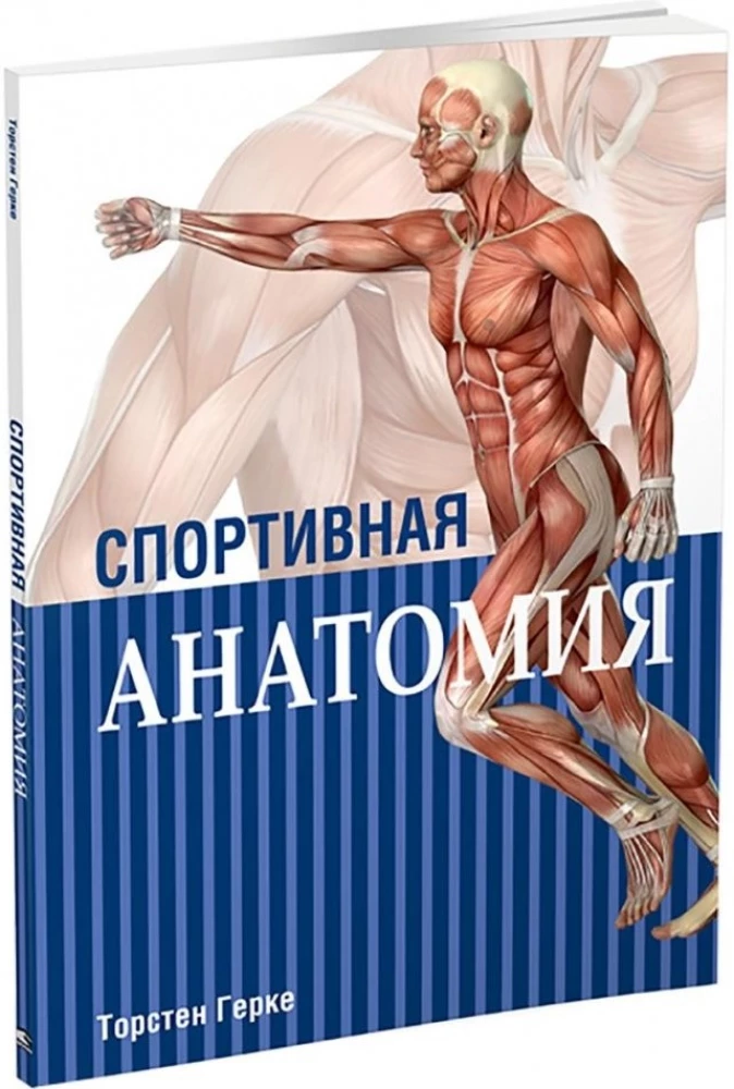 Sports Anatomy