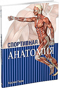 Sports Anatomy