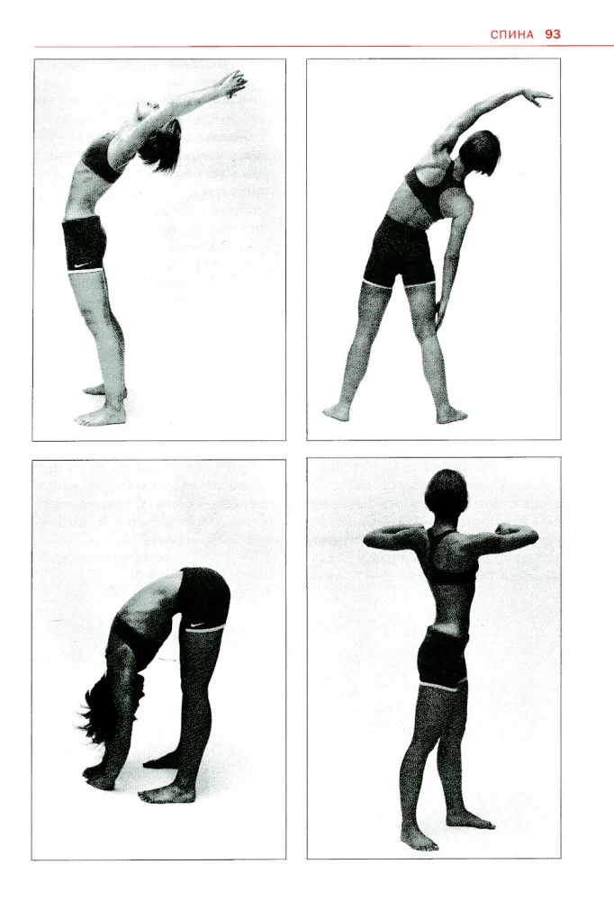 Sports Anatomy