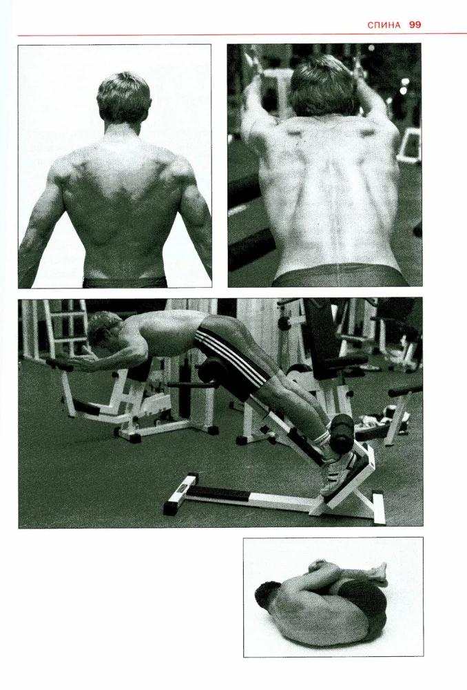 Sports Anatomy