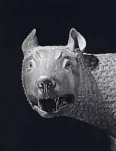 Wolf. Cultural History