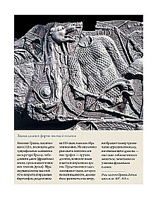 Wolf. Cultural History