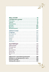 Witches and Herbs. Magical Practices, Poultices, and Divinations
