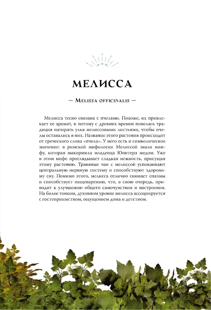 Witches and Herbs. Magical Practices, Poultices, and Divinations