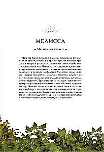 Witches and Herbs. Magical Practices, Poultices, and Divinations