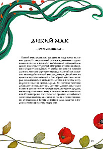 Witches and Herbs. Magical Practices, Poultices, and Divinations