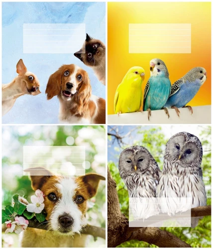 Notizbuch A5 - Tiere (kariert)