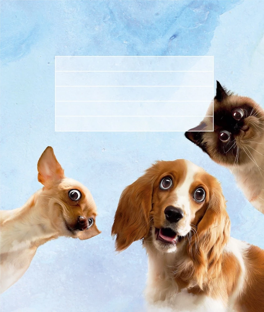 Notizbuch A5 - Tiere (kariert)