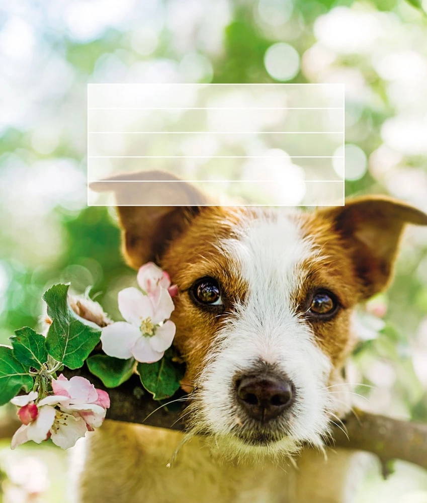 Notizbuch A5 - Tiere (kariert)
