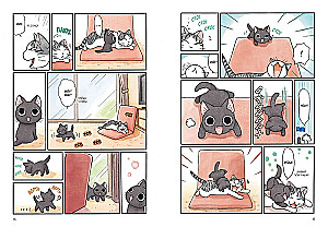 Syu und Taichik. Buch 1