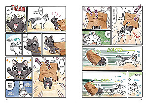 Syu und Taichik. Buch 1