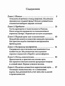 Сатипаттхана: Опыт внимательности