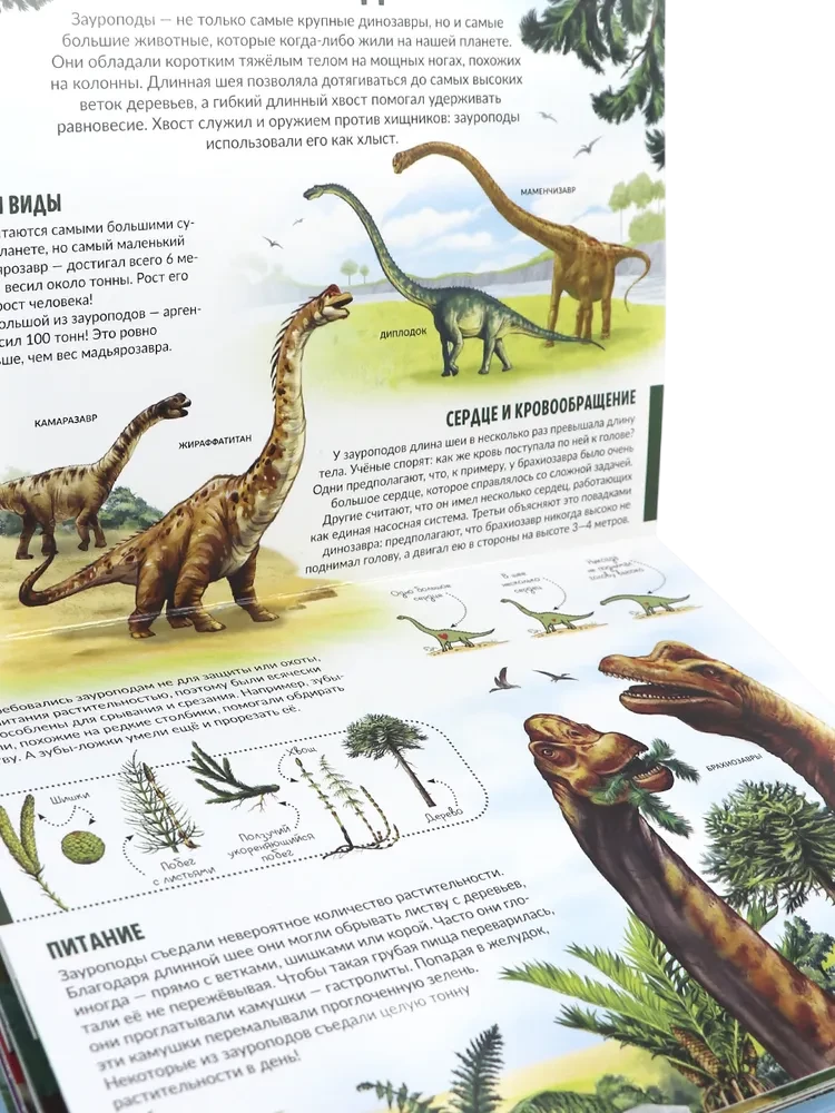 Children's POP-UP Encyclopedia. Dinosaurs. The World of Prehistoric Animals