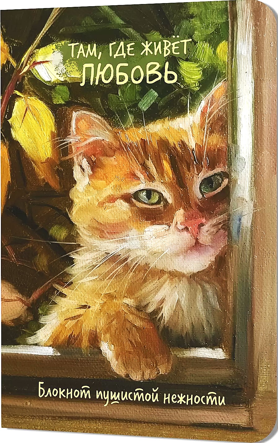 Pūkainās maiguma piezīmju grāmatiņa. Tur, kur dzīvo mīlestība (kaķis logā)