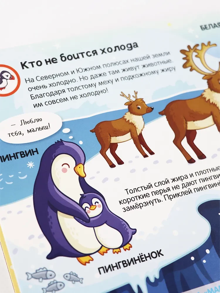 Книжка с липучками. Кто моя мама?
