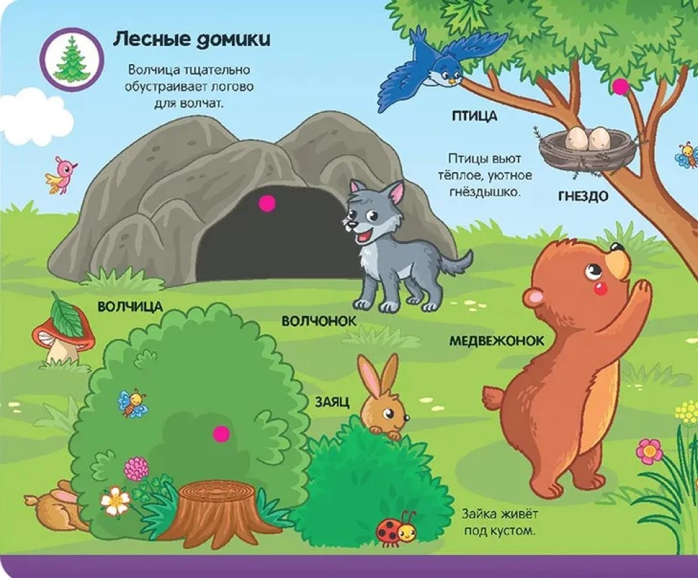 Sticker Book. Forest Animals