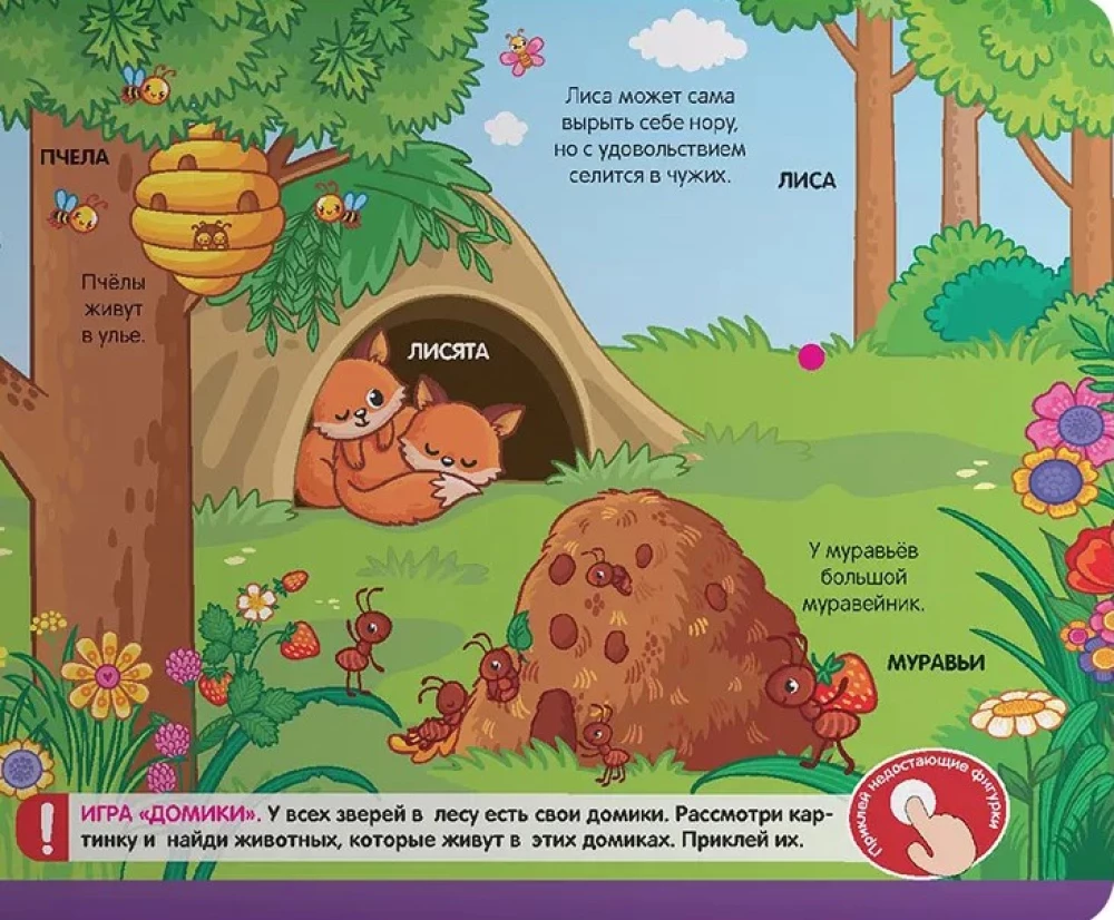 Sticker Book. Forest Animals