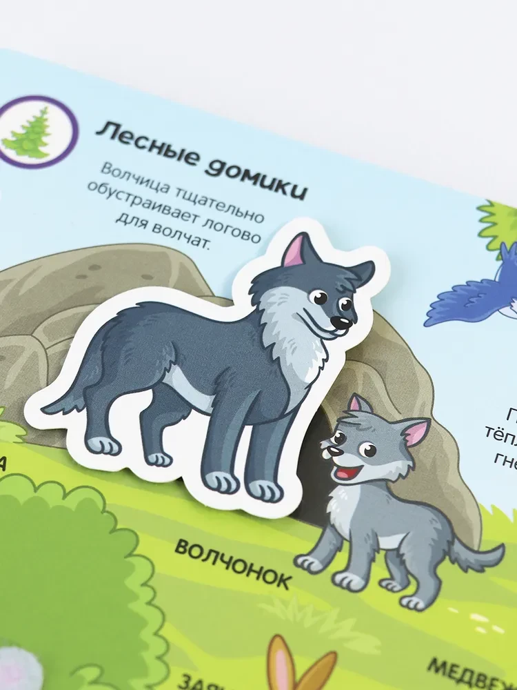 Sticker Book. Forest Animals