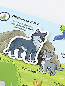 Sticker Book. Forest Animals