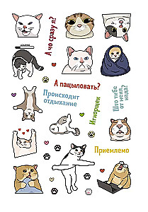 Наклейки Котомемы. Залипательно мемные стикеры для любителей котиков (бирюзовая обложка)