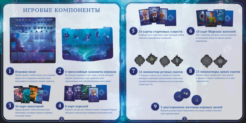Настольная игра - Акватика