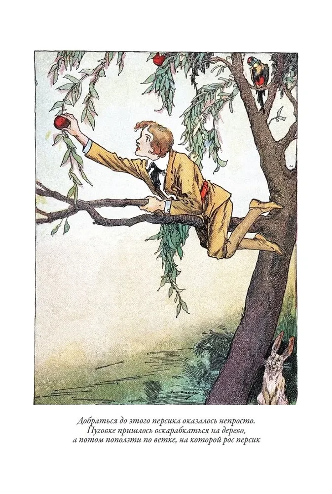 The Lost Ruler of the Land of Oz. The Tin Woodman from the Land of Oz