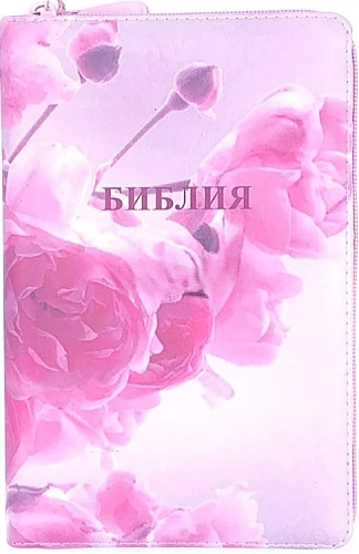 Библия (каноническая, среднего формата)