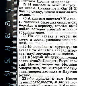 Библия (каноническая, среднего формата). Голубь с веточкой