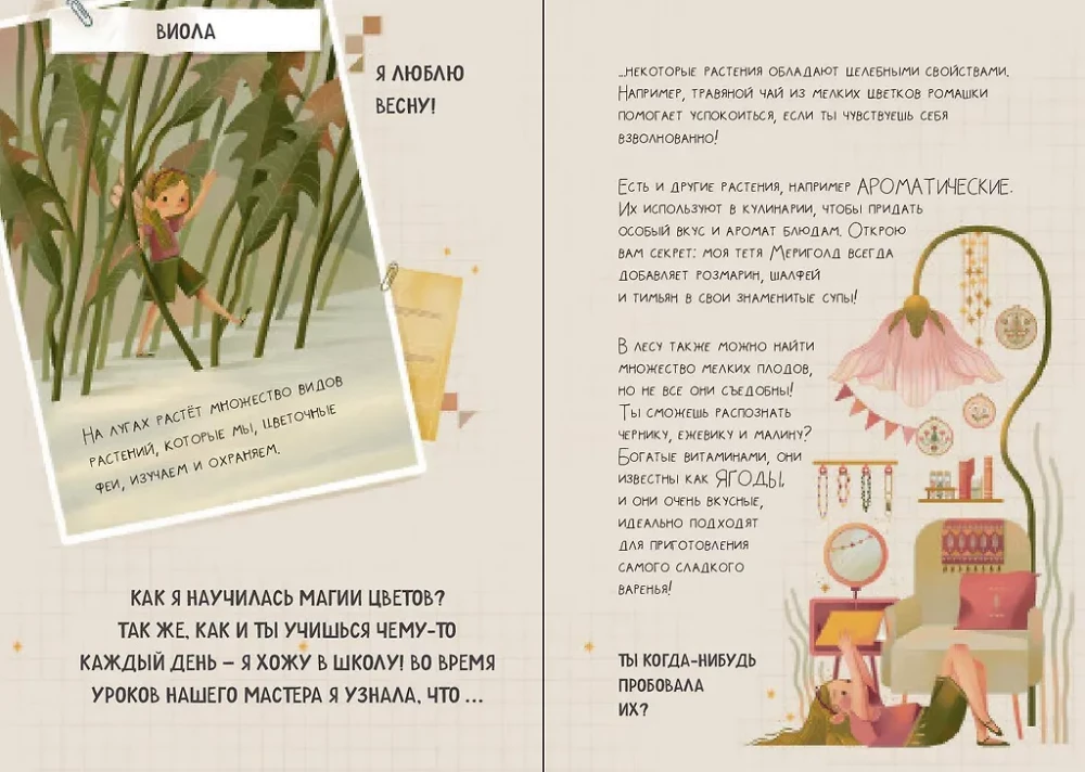 The Fairy's Magic Gift