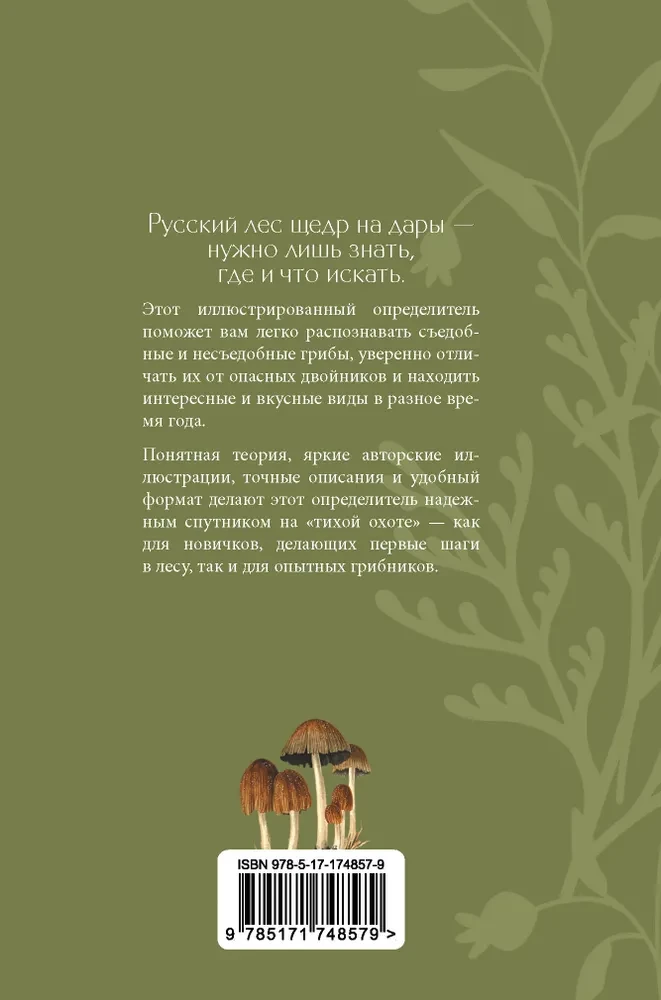 Mushrooms of the Russian Forest. Illustrated Guide