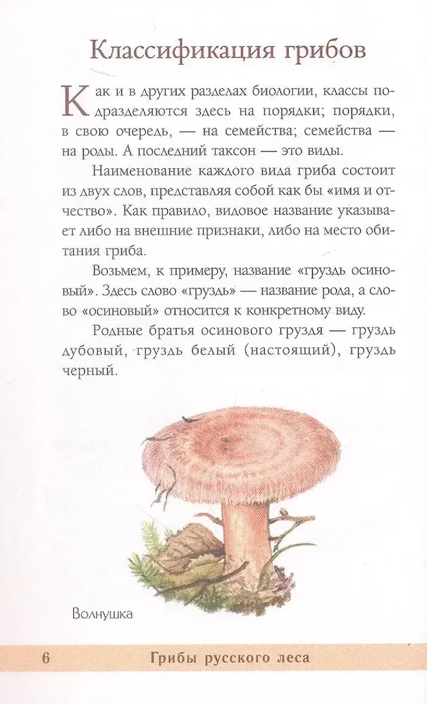 Mushrooms of the Russian Forest. Illustrated Guide