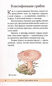 Mushrooms of the Russian Forest. Illustrated Guide