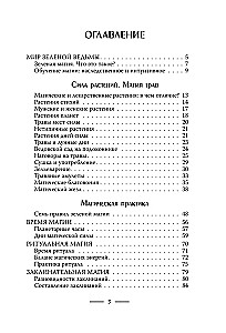 Grüne Hexerei. Ein gemütliches Buch über natürliche Magie
