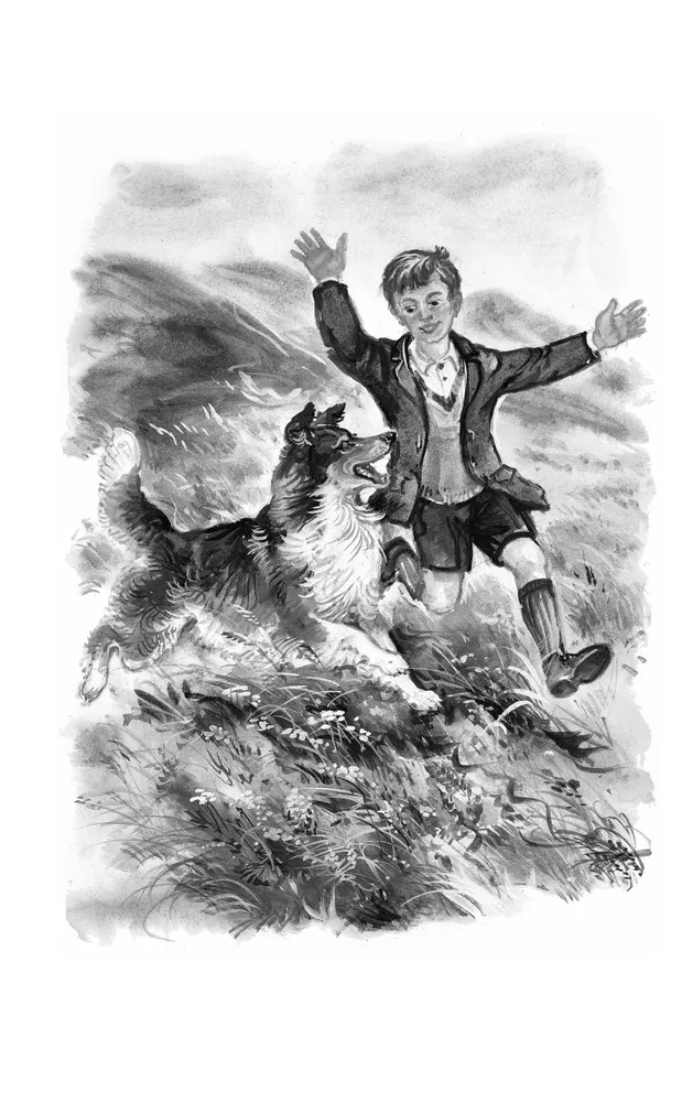 Lassie