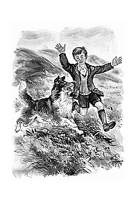 Lassie