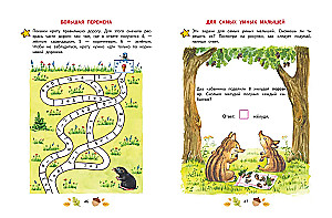 Mathematics. Learning to Solve Examples and Problems: for Children Aged 5-7