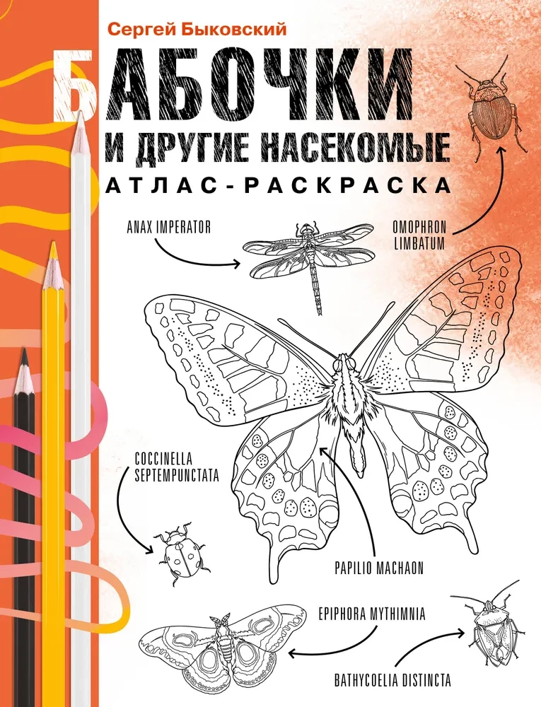 Butterflies and Other Insects. Atlas-Coloring Book