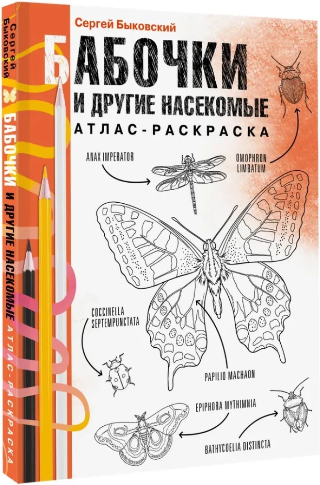 Butterflies and Other Insects. Atlas-Coloring Book