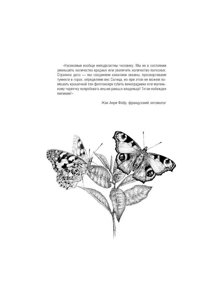 Butterflies and Other Insects. Atlas-Coloring Book
