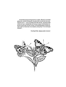 Butterflies and Other Insects. Atlas-Coloring Book